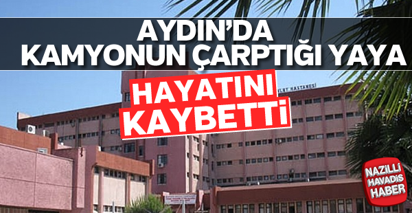 Kamyonun çarptığı yaya öldü