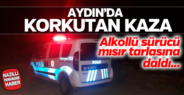 Aydın'da sürücü mısır tarlasına daldı