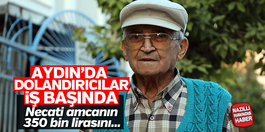 Aydın'da dolandırıcılar iş başında