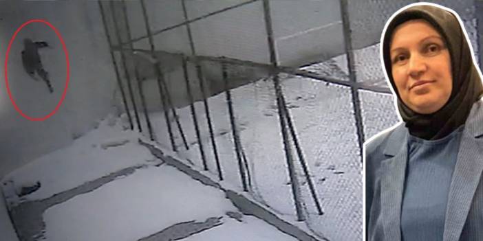 Cam silme faciası: 3. kattan düşen öğretmen hayatını kaybetti