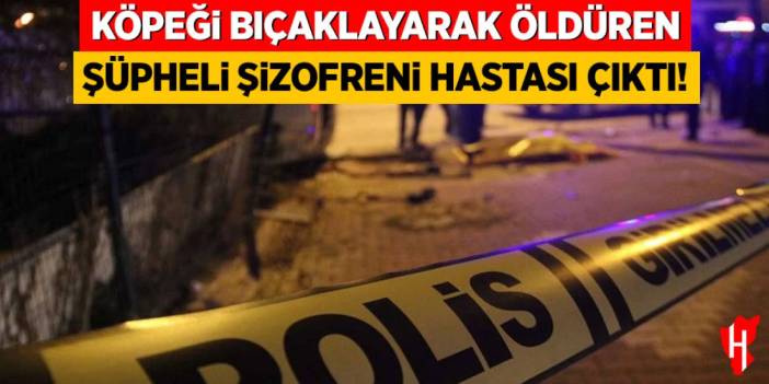 Köpeği bıçaklayarak öldüren şüphelinin şizofreni hastası olduğu ortaya çıktı