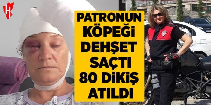 Patronun köpeği dehşet saçtı: Vücuduna 80 dikiş atıldı