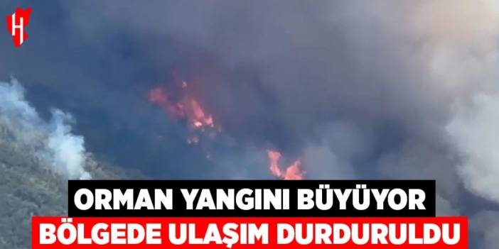Orman yangını büyüyor: Bölgede ulaşım durduruldu