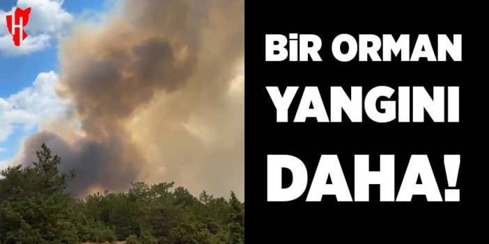 Bir orman yangını daha