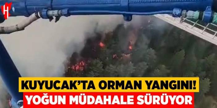Kuyucak'ta orman yangını