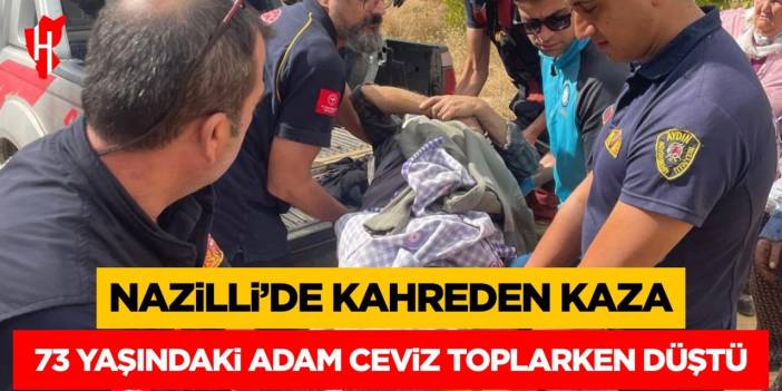 73 yaşındaki adam ceviz toplarken düştü