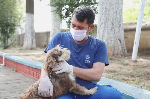 aydin-buyuksehir-belediyesi-can-dostlarimizi-yalniz-birakmiyor-215559-1caec7e04f975d62befdd7e6f4864319.jpeg