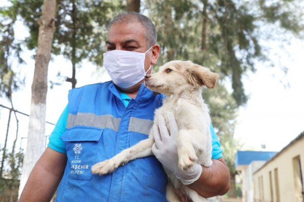 aydin-buyuksehir-belediyesi-can-dostlarimizi-yalniz-birakmiyor-215559-c8a1577a83722b314f5aa7a61ae1c3e0.jpeg