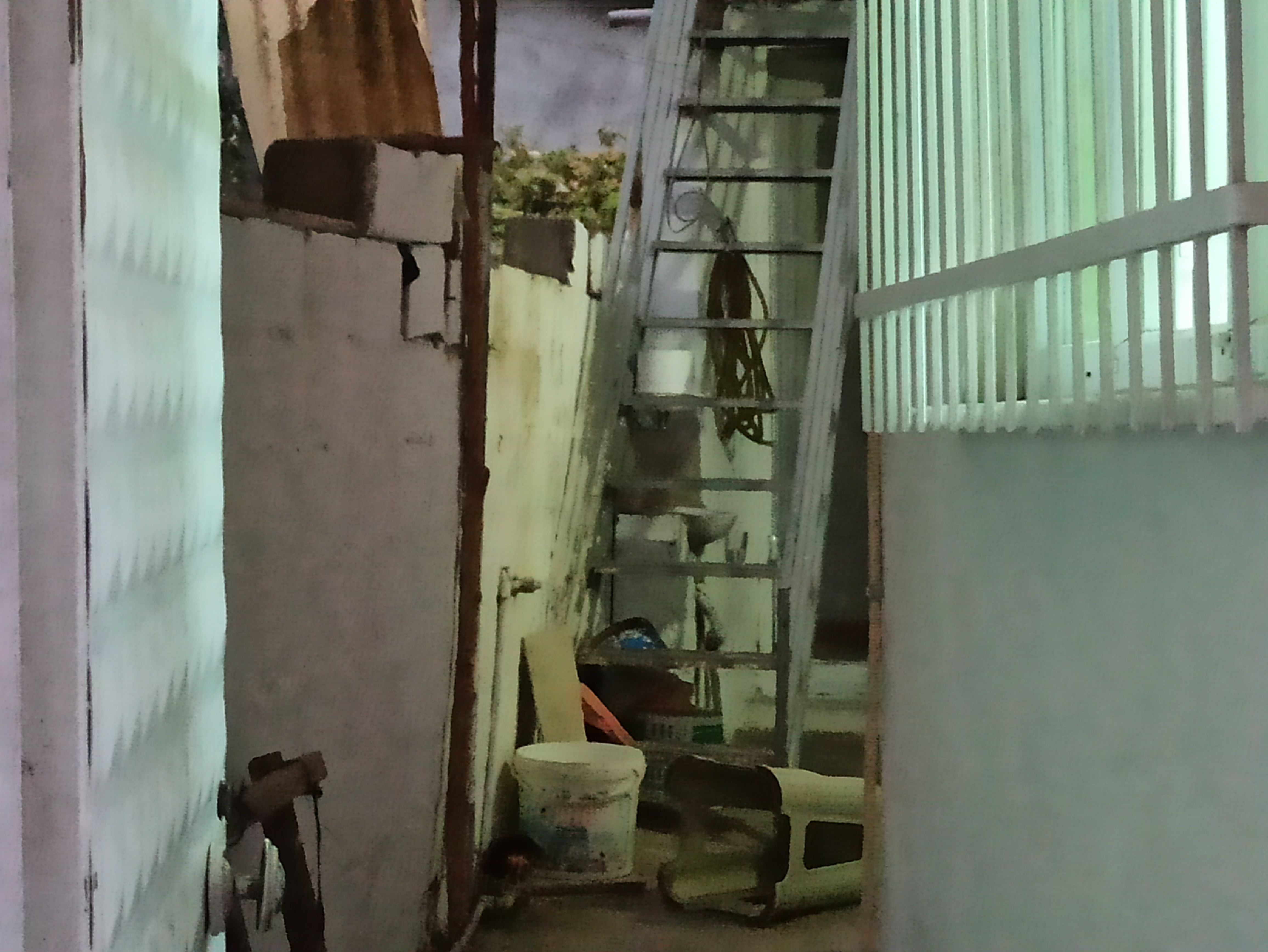 img-20210914-193222.jpg