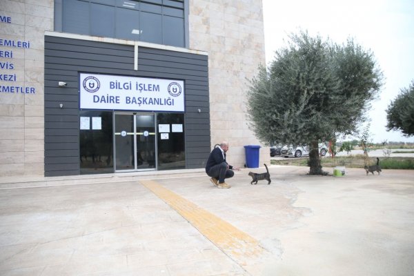 universite-calisanlari-15-kediyle-ayni-ofisi-paylasiyor-515934b00b9fd16509d0d29b9b803d70.jpg