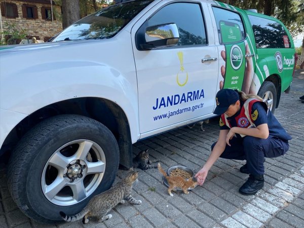 aa-20220905-28818324-28818322-aydinda-jandarma-ekipleri-sahipsiz-hayvanlar-icin-dogaya-mama-birakti.jpg