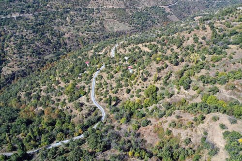 aa-20231028-32545725-32545709-cografi-isaret-tesciliyle-korunan-aydin-kestanesinde-tehlikeli-hasat-basladi.jpg