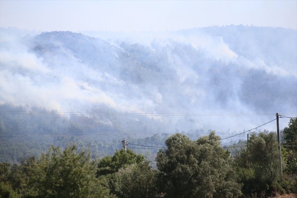 aa-20240709-35098251-35098250-bodrumda-orman-yangini-cikti.jpg