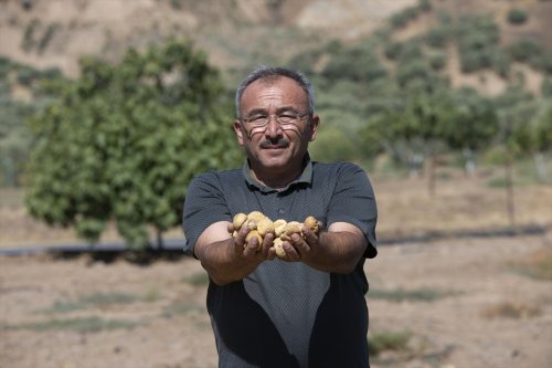 aa-20240809-35358353-35358352-asiri-sicaklar-kuru-incirde-hasadi-one-cekti.jpg