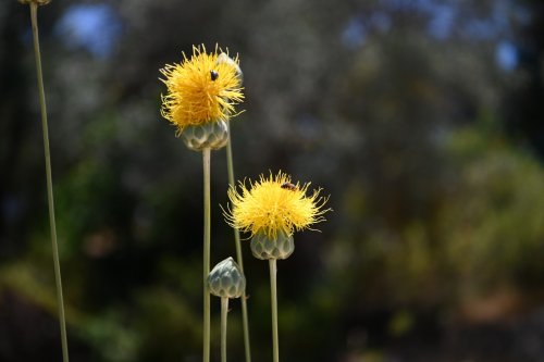 aw468566-04.jpg