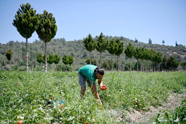 ada-bahce-2.jpg