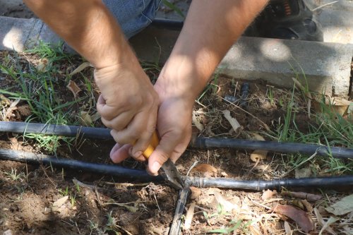 aw487333-02.jpg