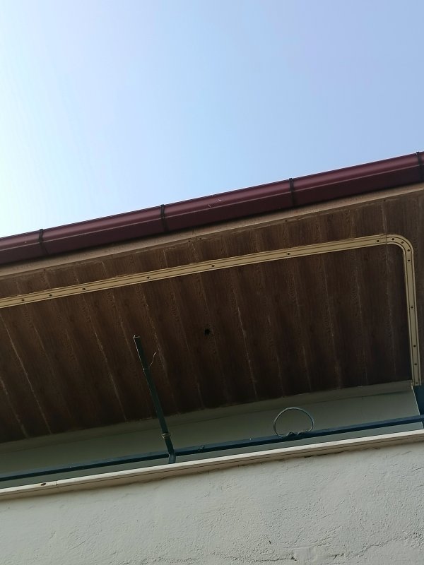 img20250728175905.jpg