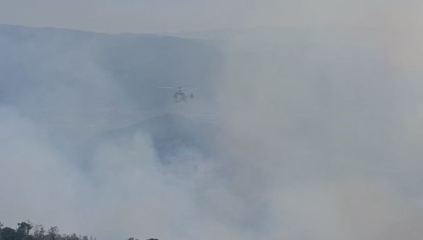aw527453-02.jpg