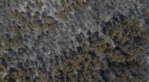 aw529362-05.png