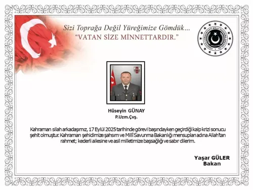 mto3o-1758171159-6618.webp