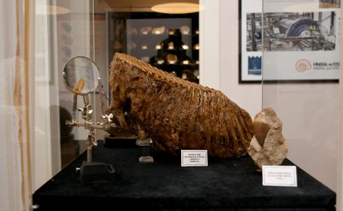 mineral-fosil-muzesi-3.jpg