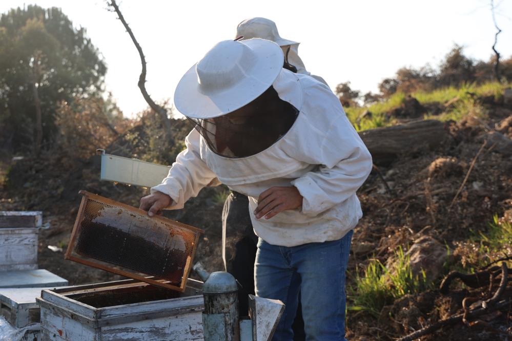 aydinli-aricilar-sezonu-acti-aricilar-sezondan-umutlu-2.jpg
