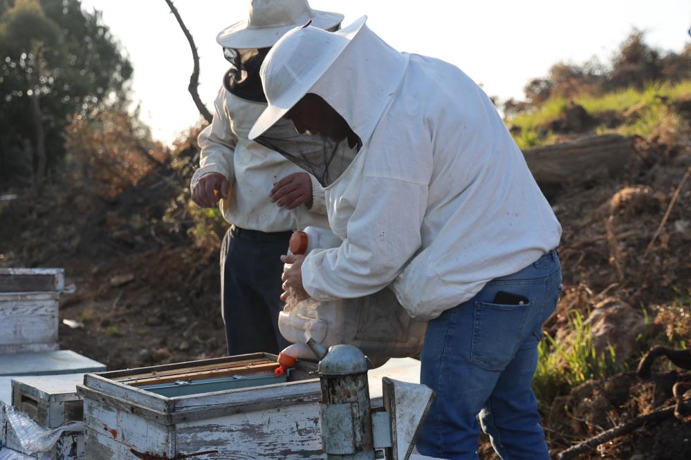 aydinli-aricilar-sezonu-acti-aricilar-sezondan-umutlu.jpg