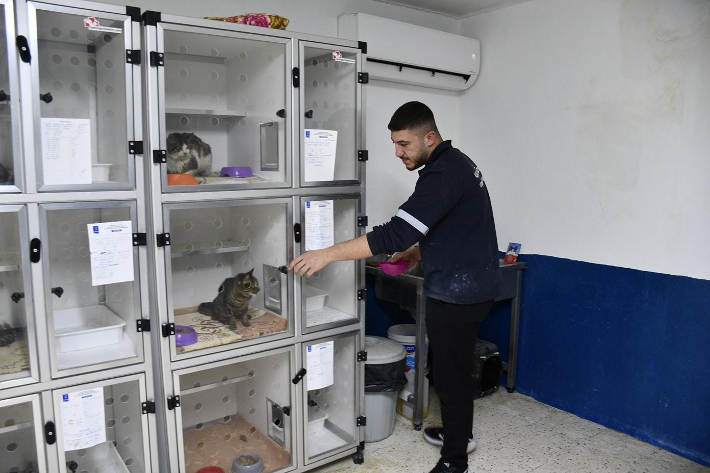 davutlar-kedi-kisirlastirma-merkezi-2.jpg
