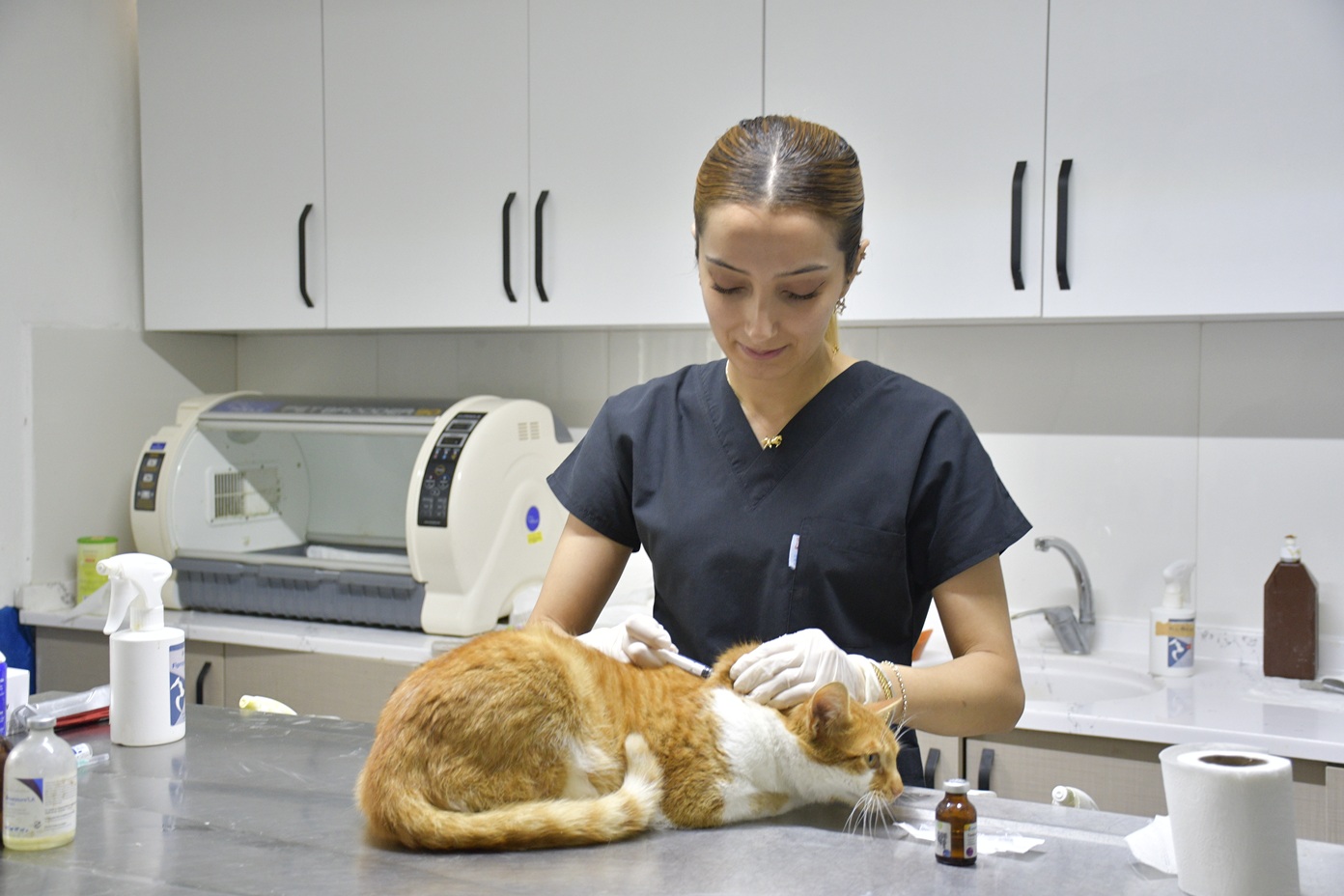 davutlar-kedi-kisirlastirma-merkezi-5.jpg