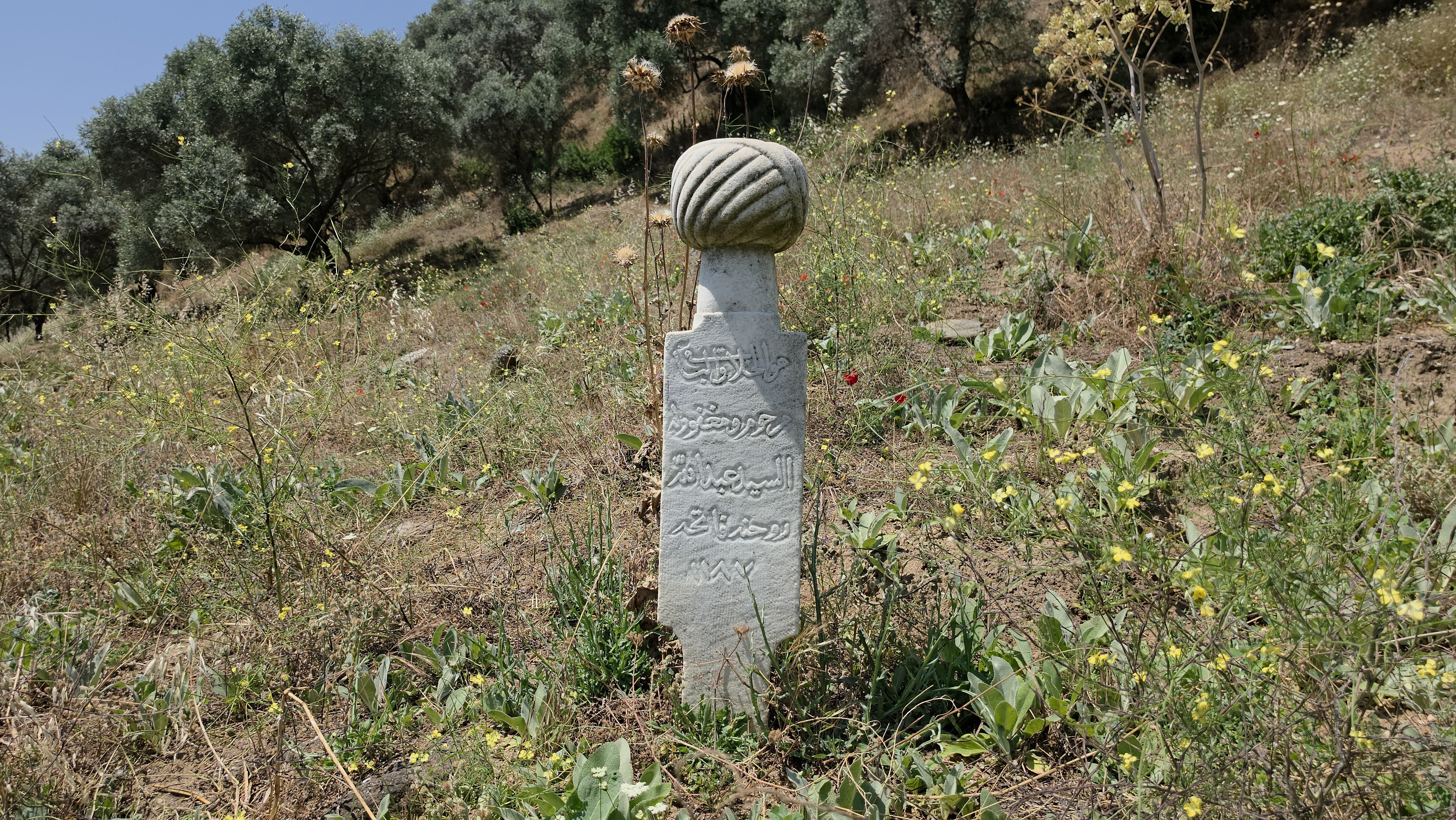 aw721641-05.jpg