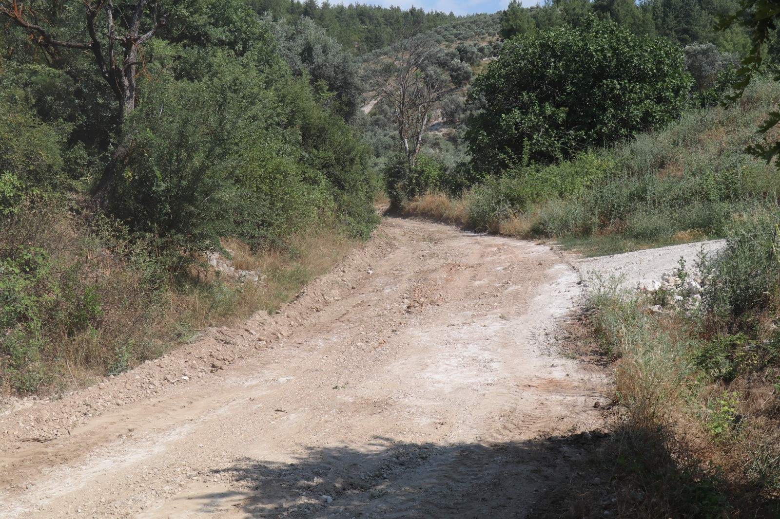 aw742981-05.jpg