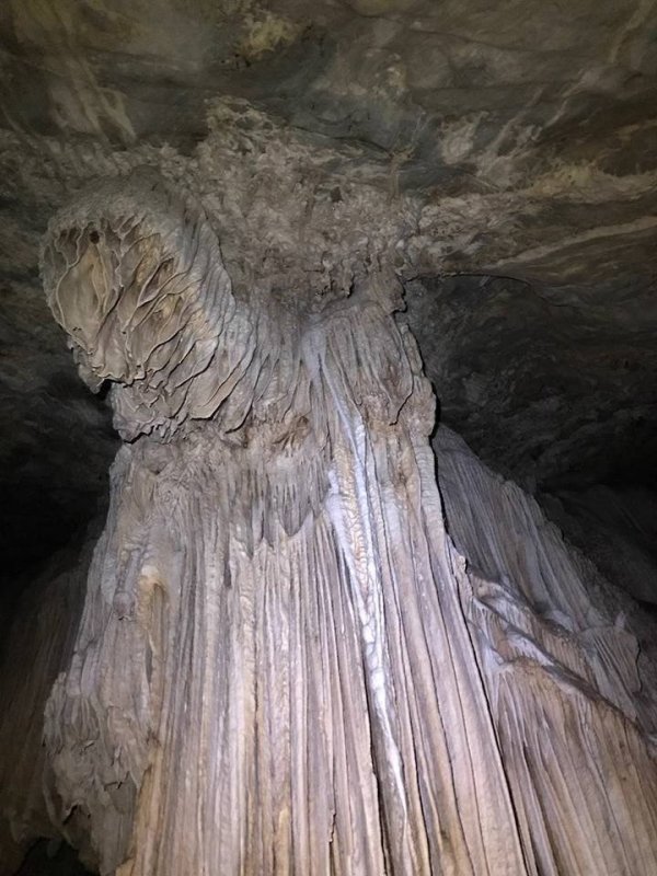 img-1907.jpeg