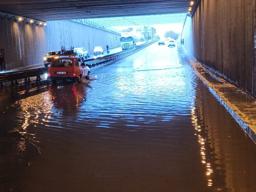 s4.jpg